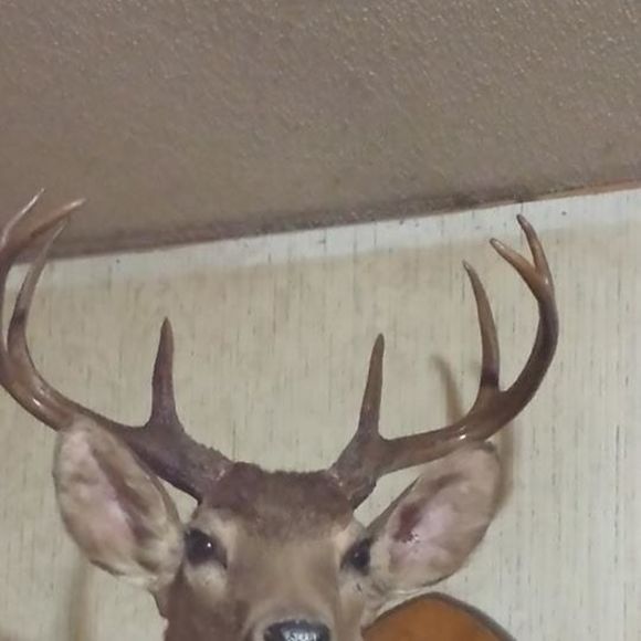 timmathis34
